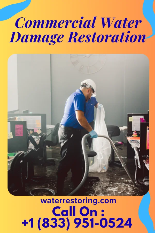 Commercial Water Damage Restoration in Bainville, MT